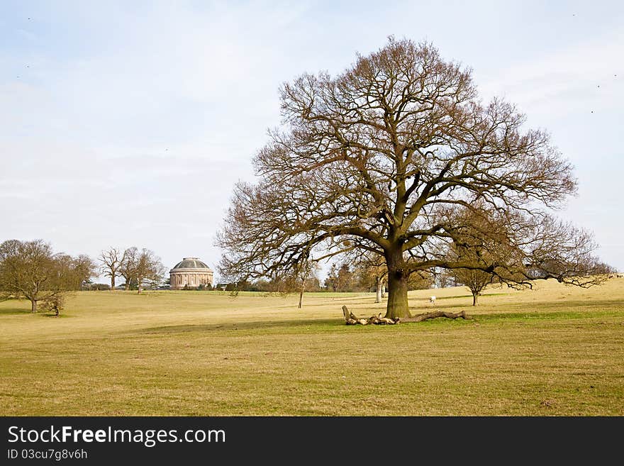 The suffolk countryside in england