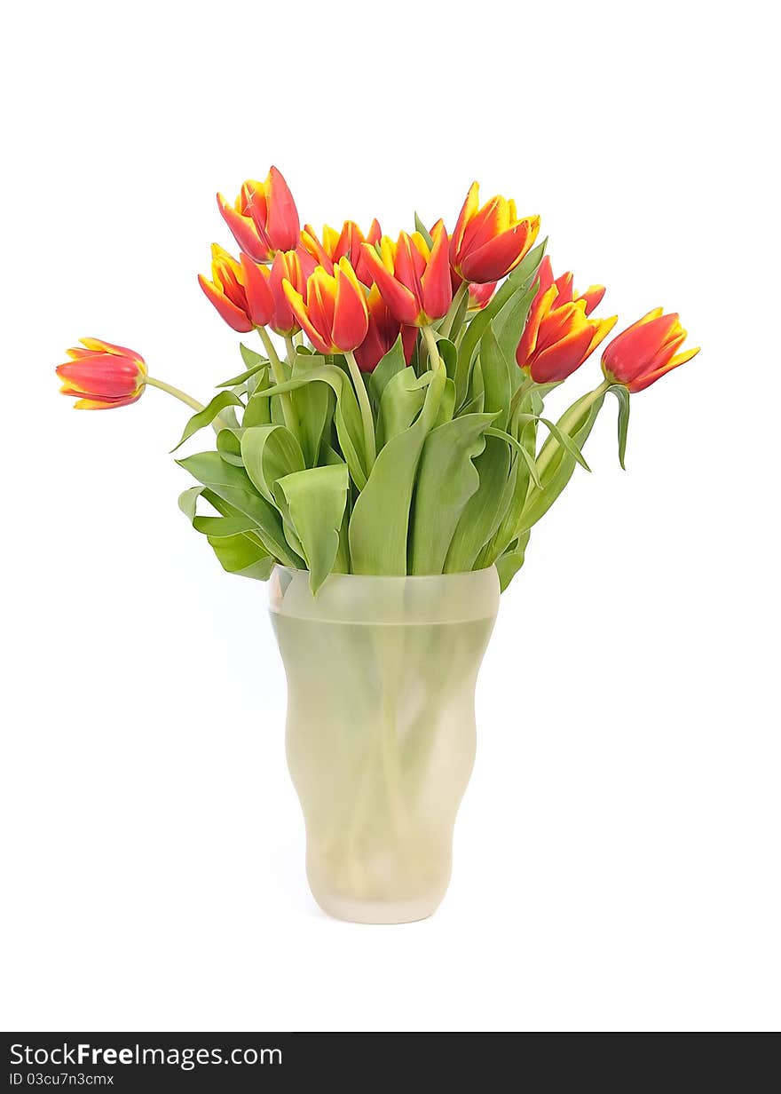 Beautiful bouquet red tulips in vase on white background. Beautiful bouquet red tulips in vase on white background