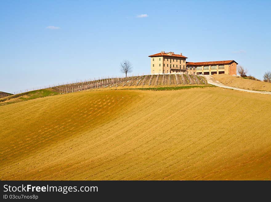 Italian villa with vineyard: spring season