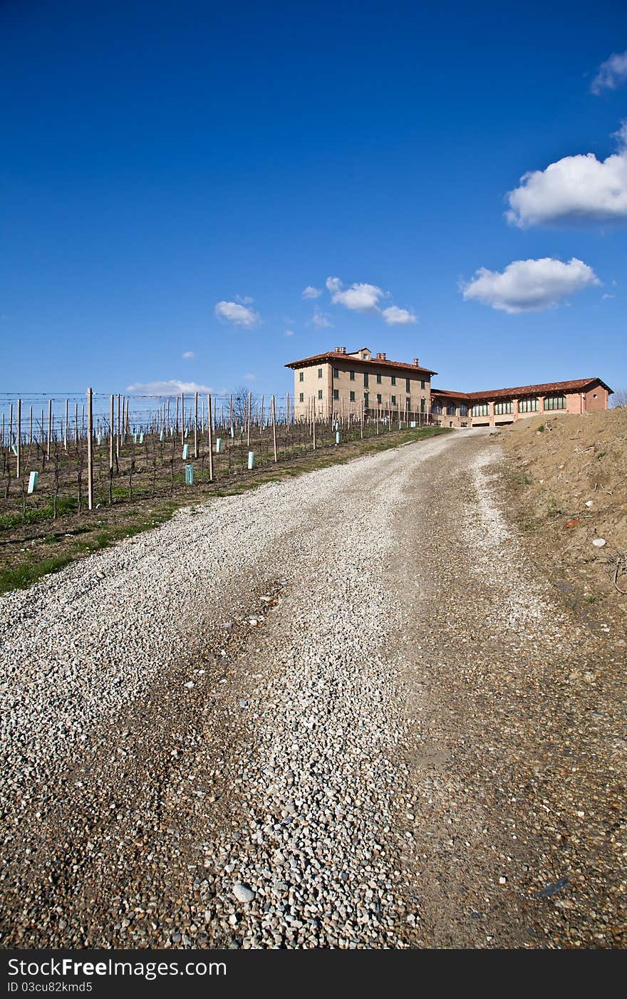 Italian Villa With Vineyard: Spring Season