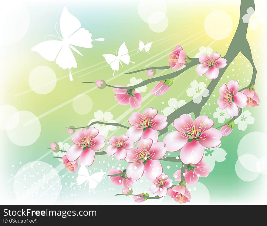 Spring background. Flowers against the sky. Spring background. Flowers against the sky