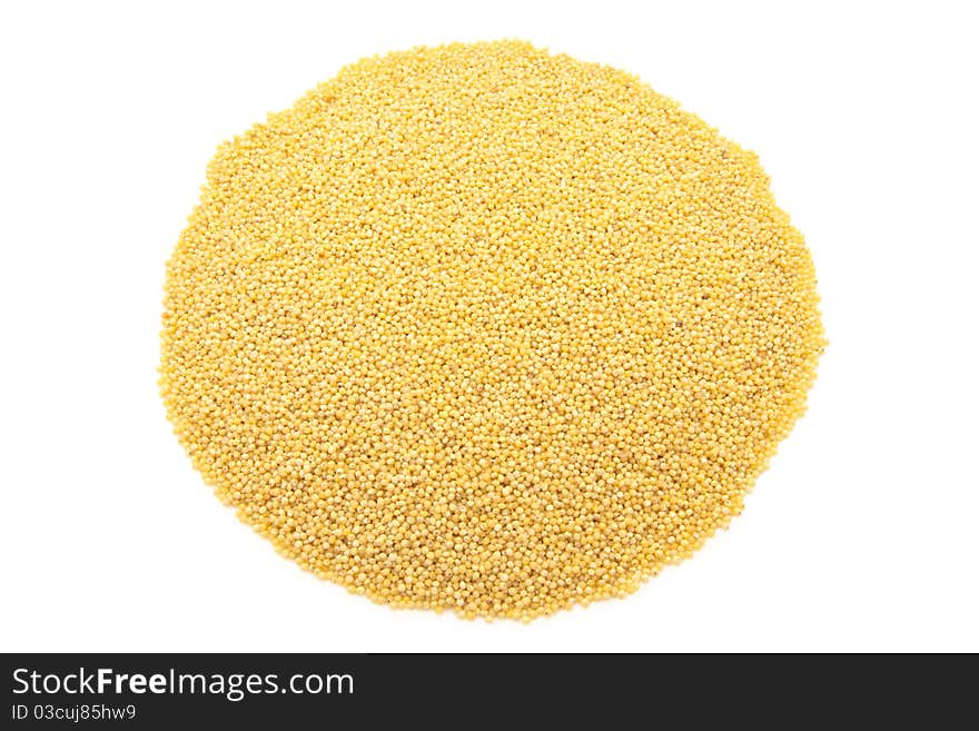 Yellow Millet Close Up Isolated