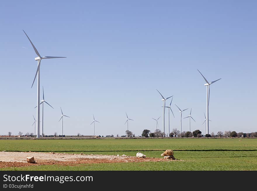 Windmills in the green cultivated fields. Windmills in the green cultivated fields