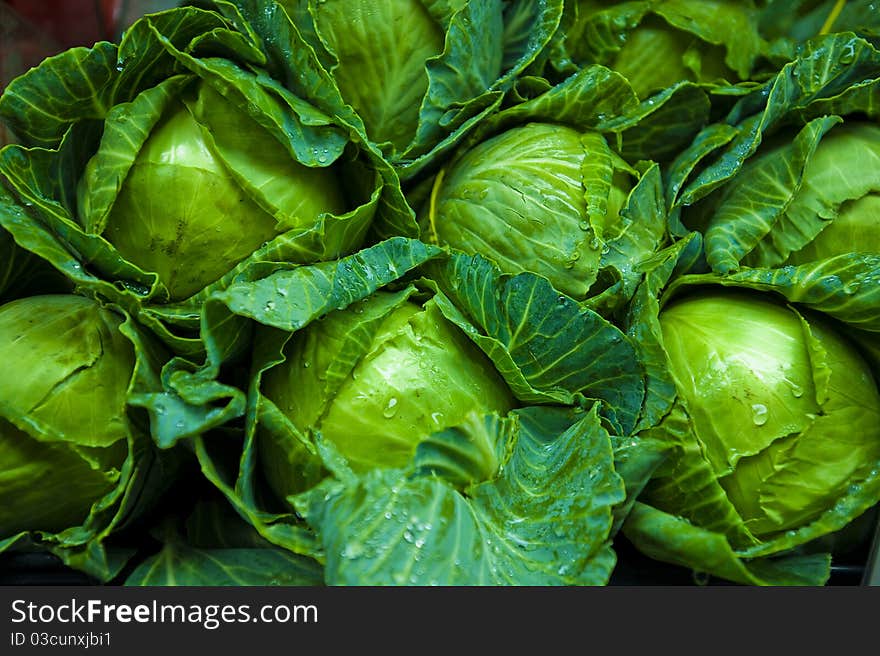 Fresh green cabbage closeup details as a background. Fresh green cabbage closeup details as a background