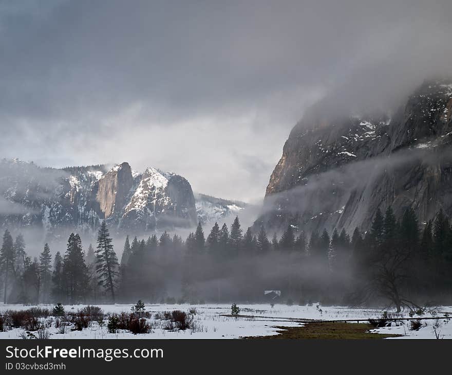 Foggy morning in yosemite