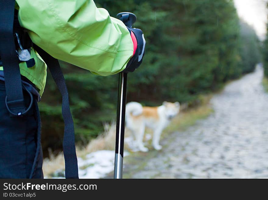 Nordic Walking In Mountains