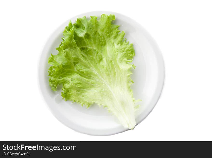 Green lettuce salad series isolated. Green lettuce salad series isolated