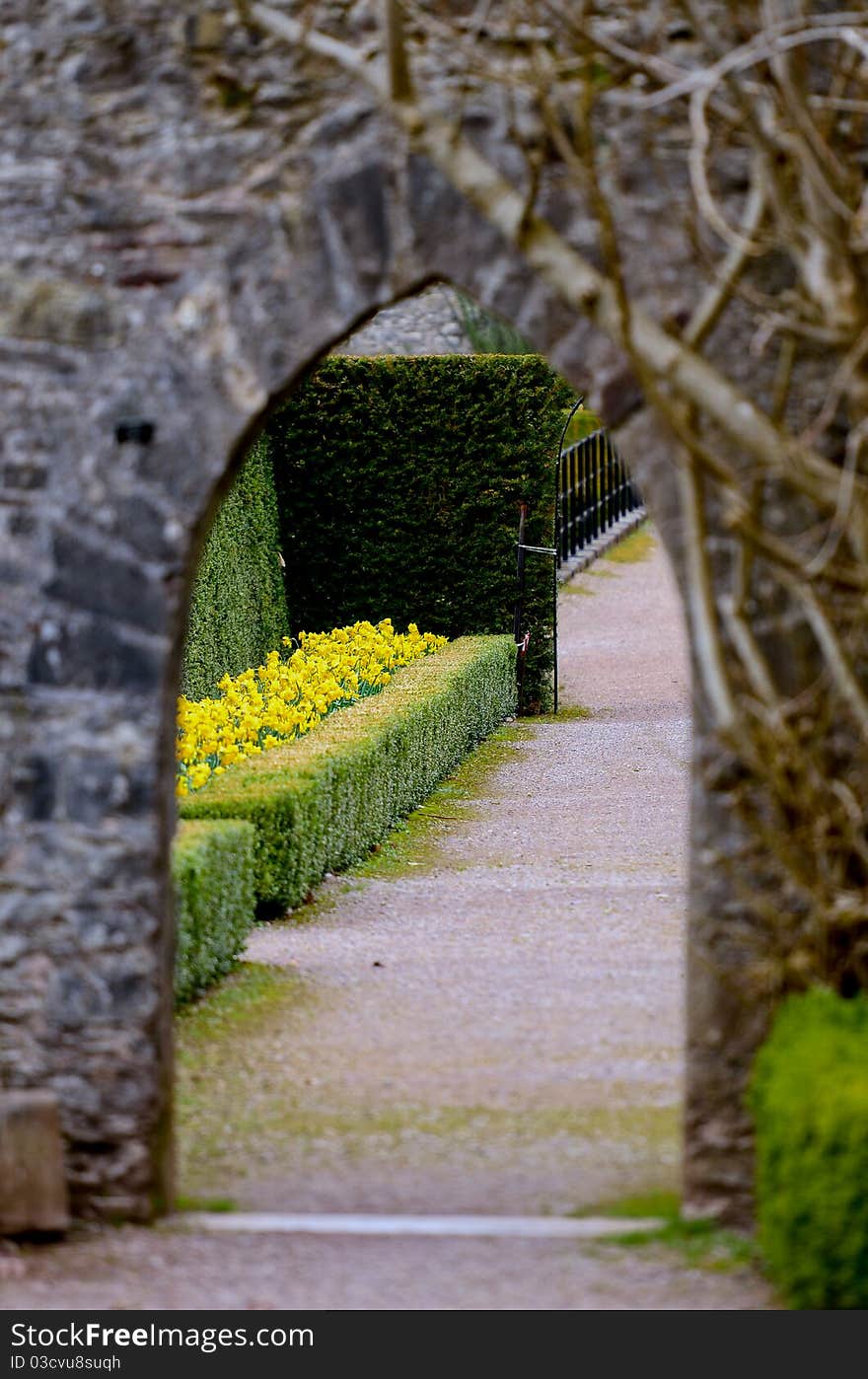 Gate in to a beautiful garden in Fota Arboretum in Ireland. Gate in to a beautiful garden in Fota Arboretum in Ireland