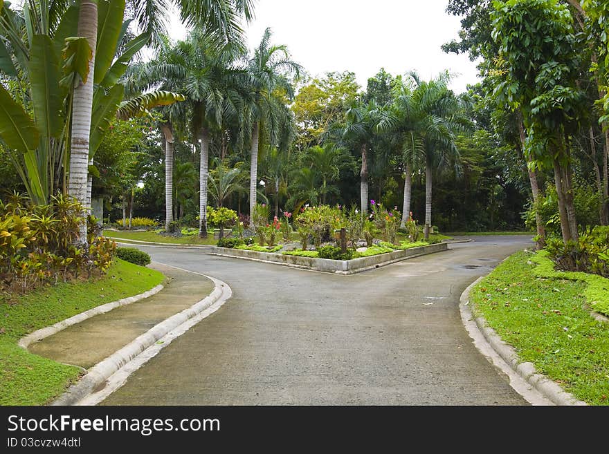 Fork in the road after a fresh rain fall in a tropical resort, Phillipines. Fork in the road after a fresh rain fall in a tropical resort, Phillipines