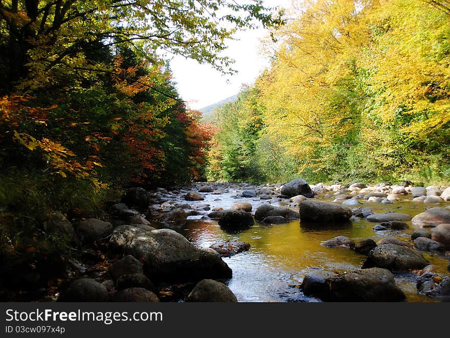 Shot taken in New Hampshire just before the fall season. Shot taken in New Hampshire just before the fall season