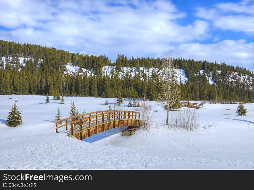 The small wooden bridge through Cascade ponds in reserve Banff in Canada. The small wooden bridge through Cascade ponds in reserve Banff in Canada