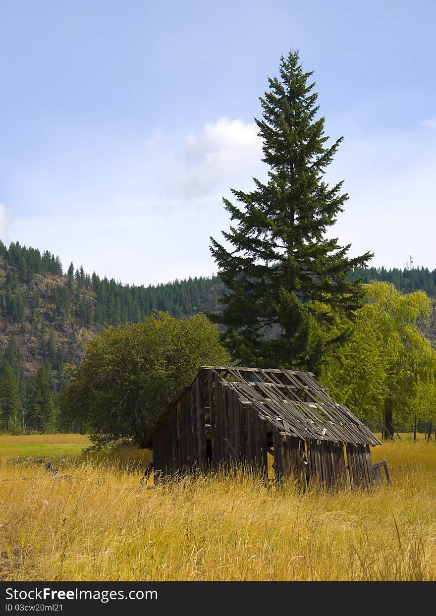 Old Barn In Golden Field