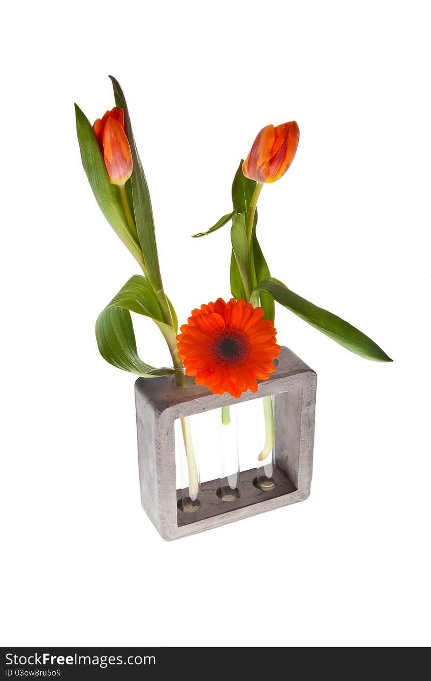 Orange springflowers for dutch queensday and easter