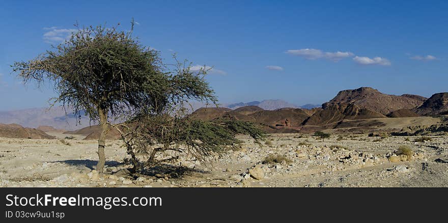 Panoramic view on rockies of Timna park, Israel