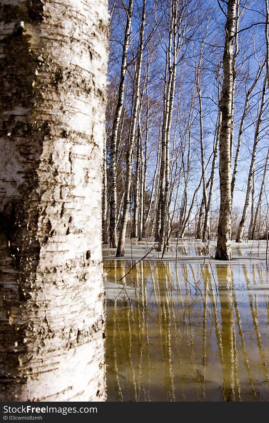 Early spring landscape