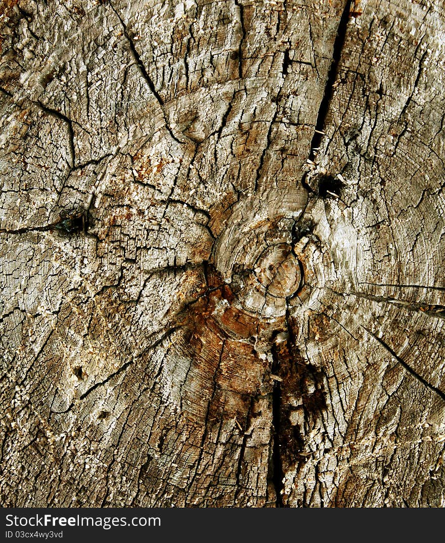 Old Tree Stump.abstract surface.