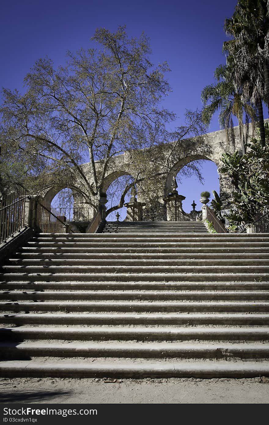 Botanic Garden In Coimbra