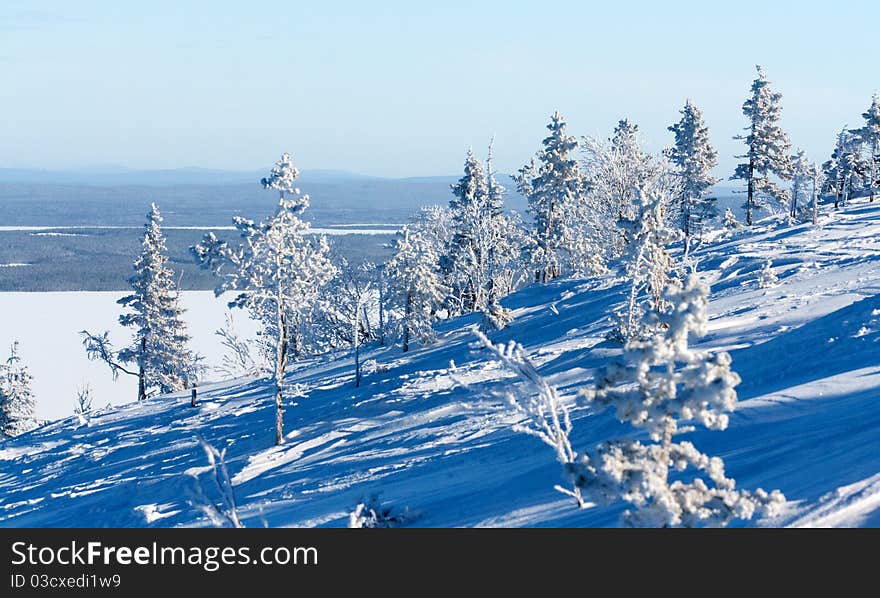 Winter landscape