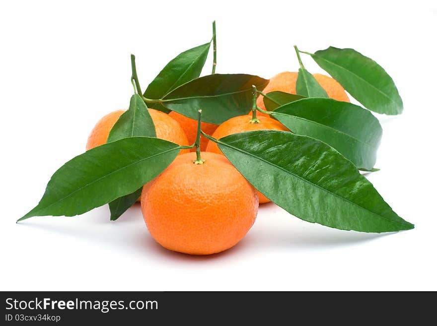 Tangerine isolated on white background