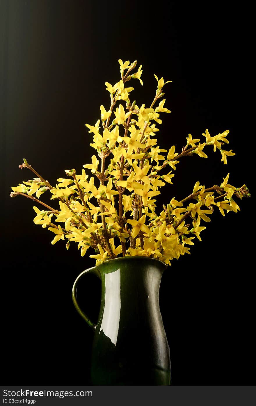 Forsythia flower