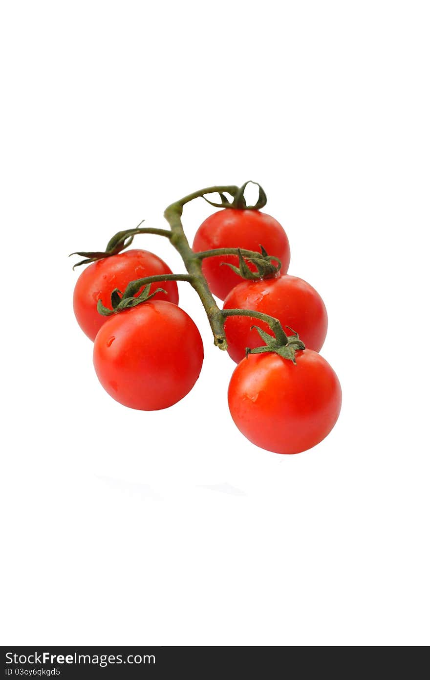 Branch of five red tomatoes isolated on white background. Branch of five red tomatoes isolated on white background