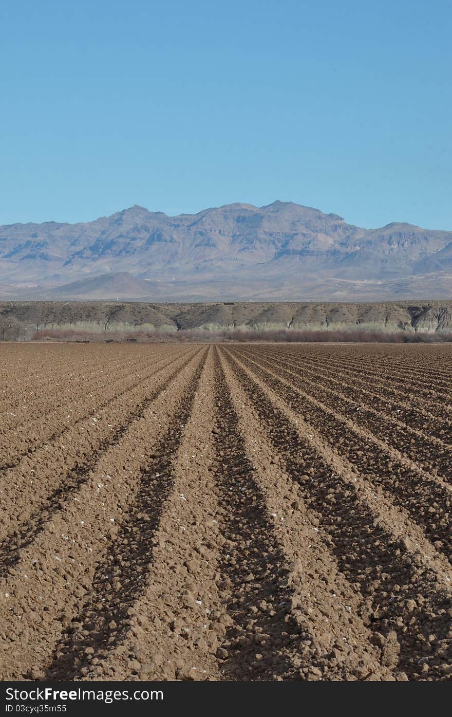 Arizona Freshly Plowed Farmland