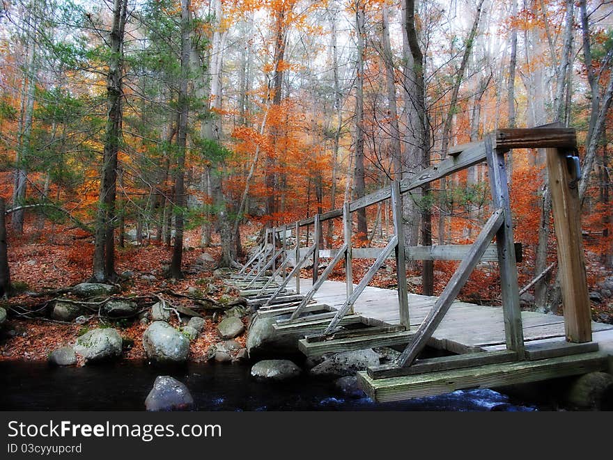 Wooden bridge