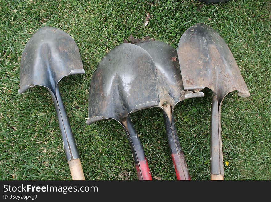 Four shovels lined up on the grass.