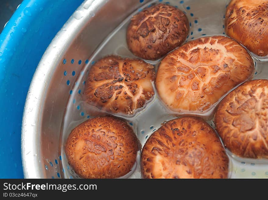 Washing fresh mushrooms