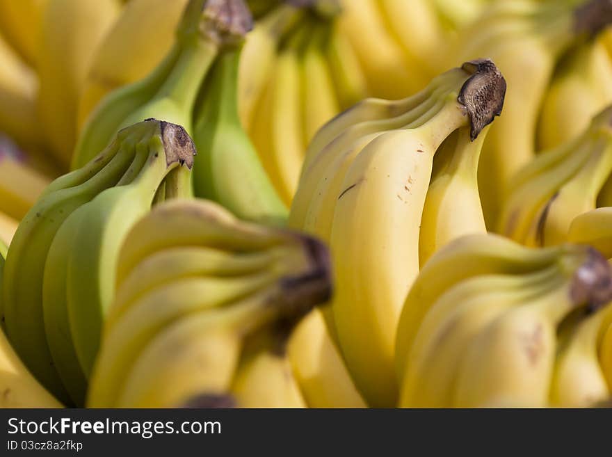 Close up on a banch of bananas among others.