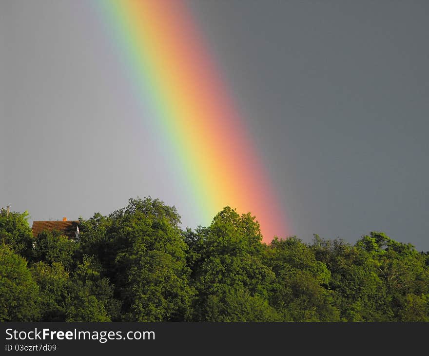 Close photo of a rainbow over the trees