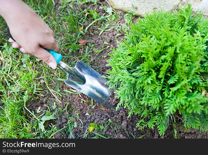 Women hand hold trowel and digging