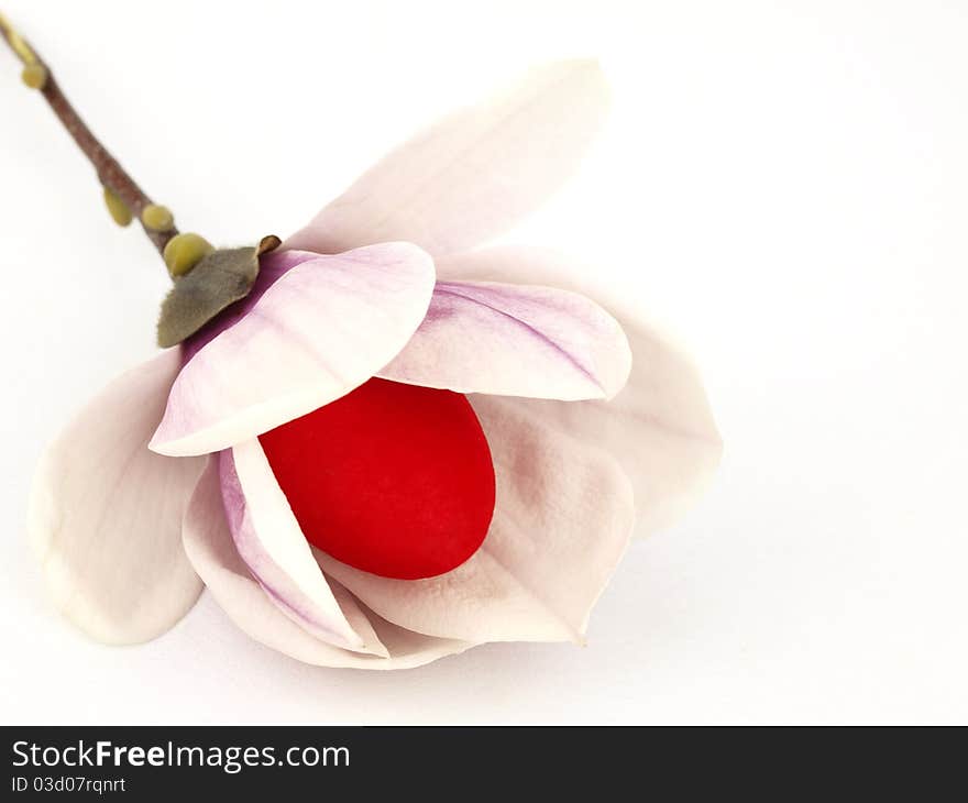 Easter eggs inside of the spring flowers isolated on white background