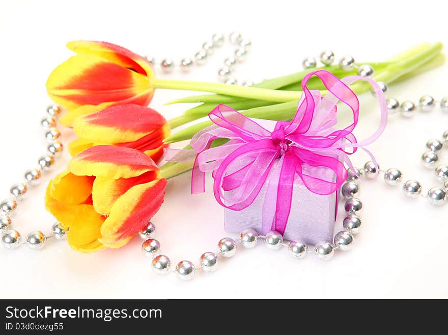 Fine tulips and gift on a white background