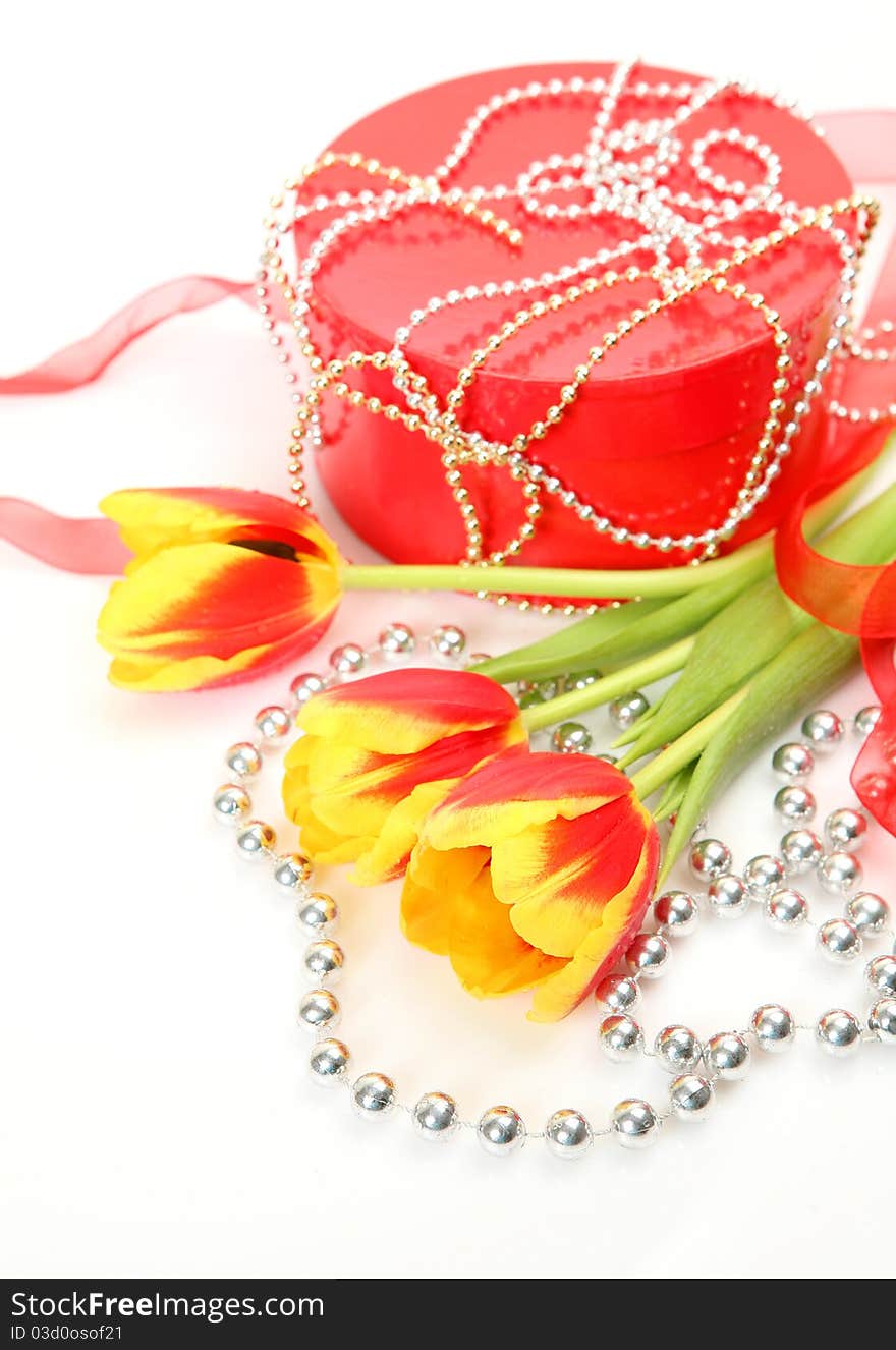 Fine tulips and gift on a white background