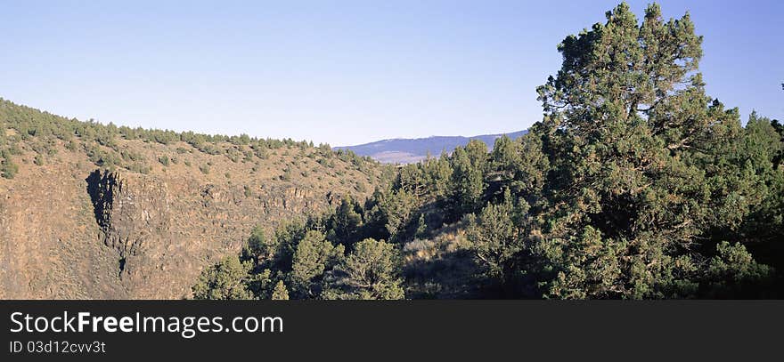 A juniper tree sits on the rim of Dry River Canyon, east of Bend, Oregon