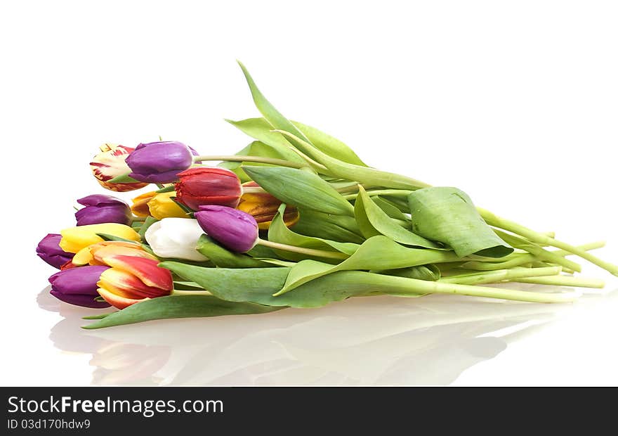 Bouquet Easter tulips as a border, copy space. studio shot, white background.