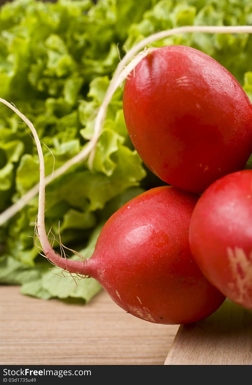 Salad and radish close up. Salad and radish close up