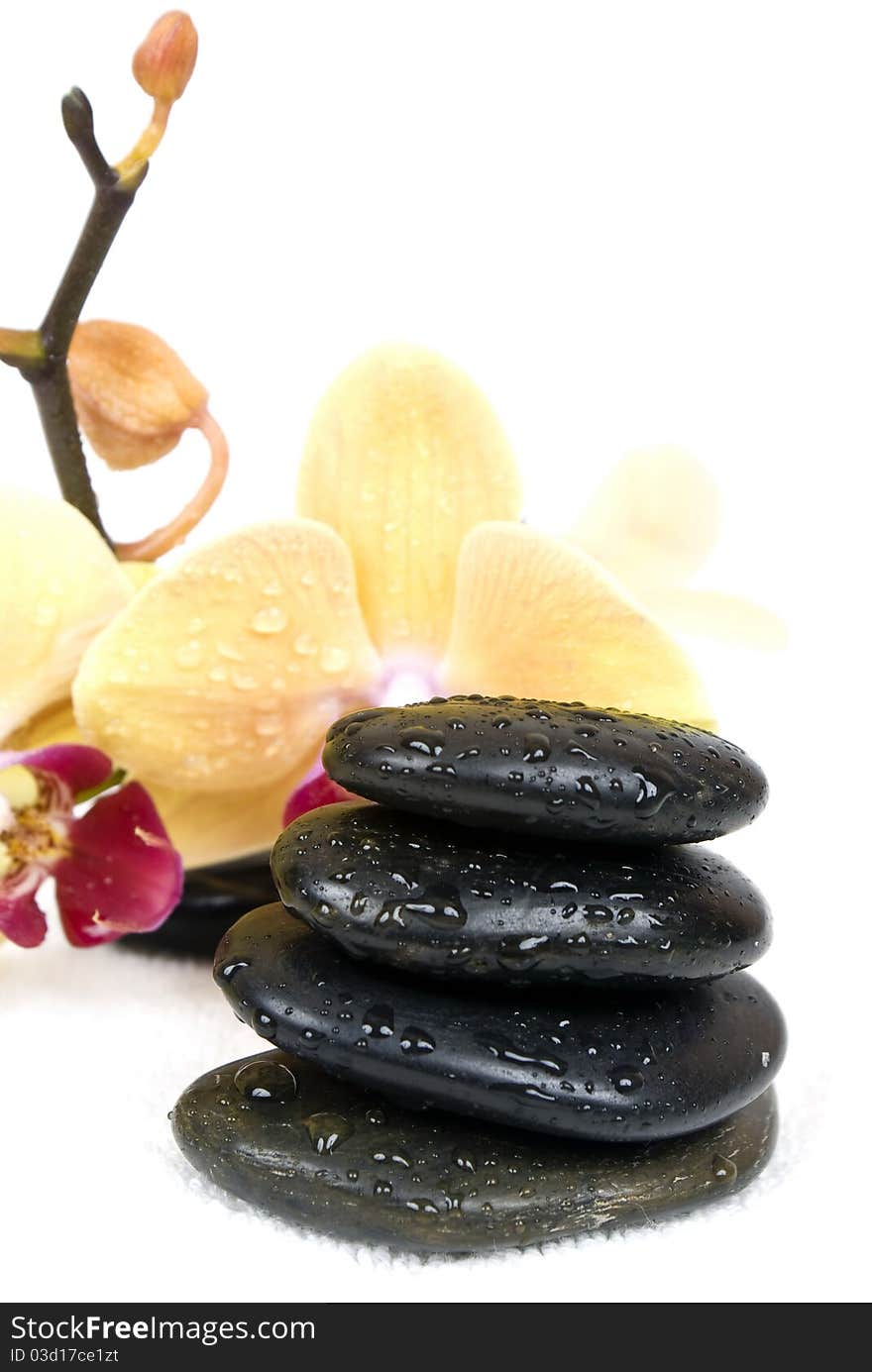 Spa concept , yellow orchid on zen stones isolated