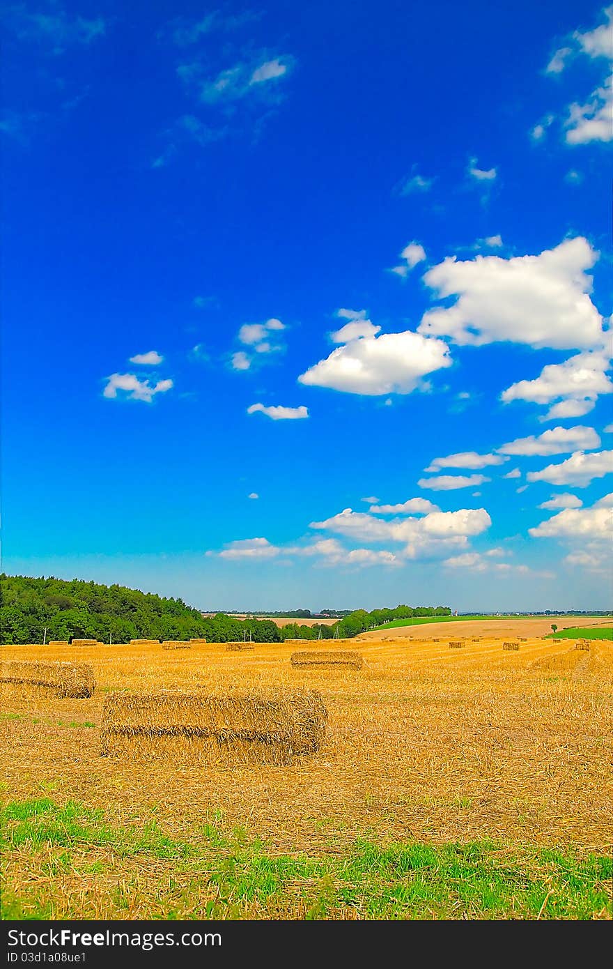 Amazing Golden Hay Bales on a perfect sunny day. Amazing Golden Hay Bales on a perfect sunny day