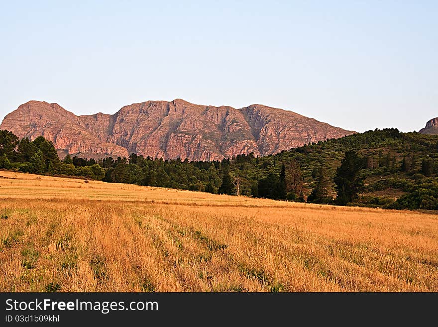 Golden fields, shadowed by the green forests and mountains. Golden fields, shadowed by the green forests and mountains