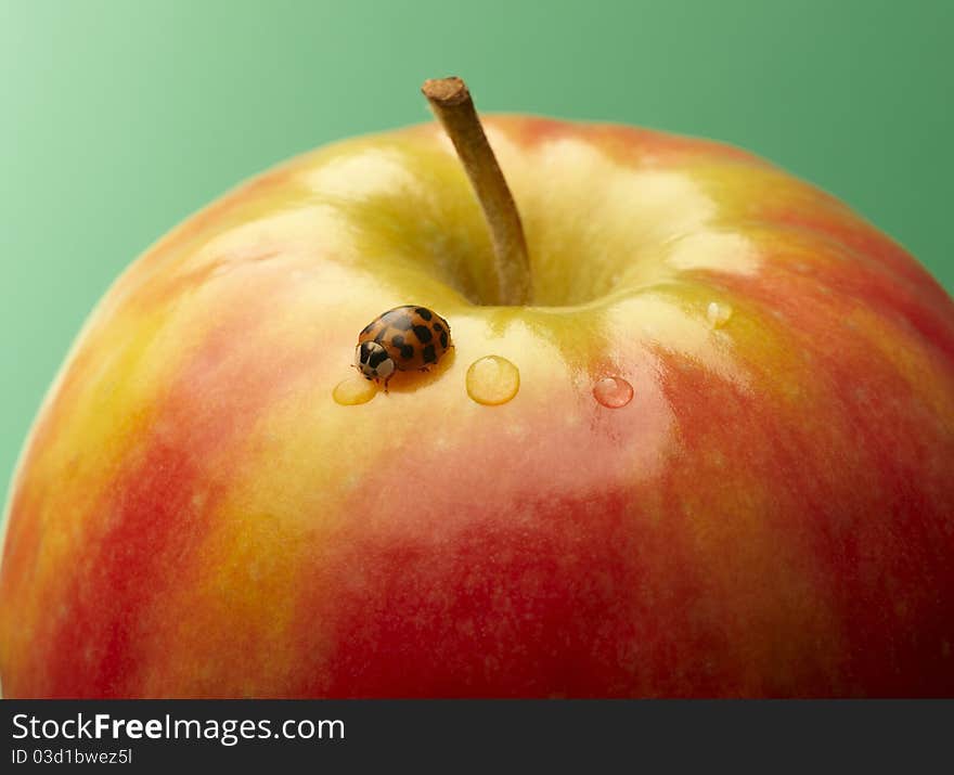 red apple with ladybug and drops of water