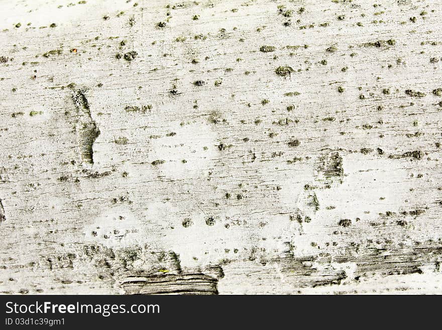 White wood texture