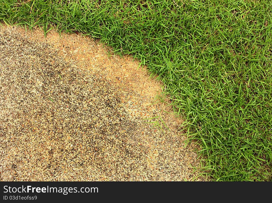 Green Grass With Cement Texture