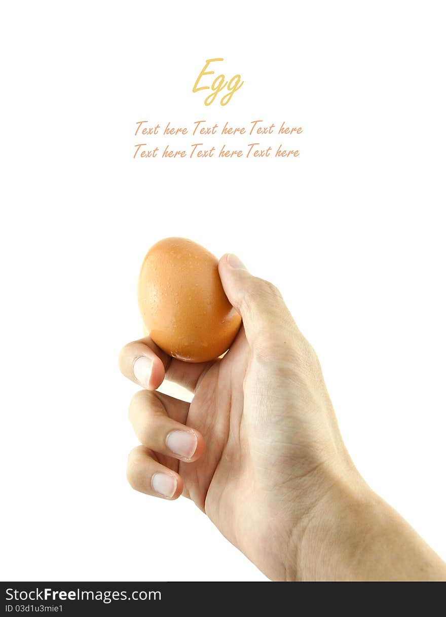 Hand Holding Egg