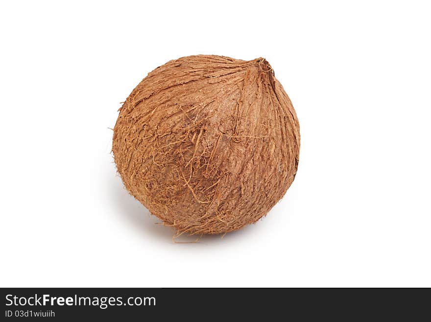 Coconut isolated on white background. Coconut isolated on white background