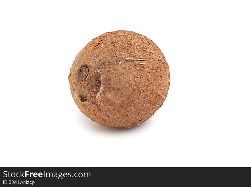 Coconut isolated on white background. Coconut isolated on white background