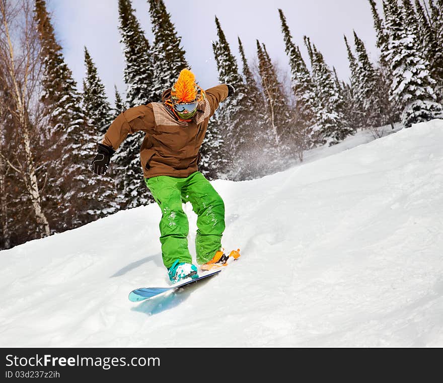 Snowboarder riding on snow-covered forest