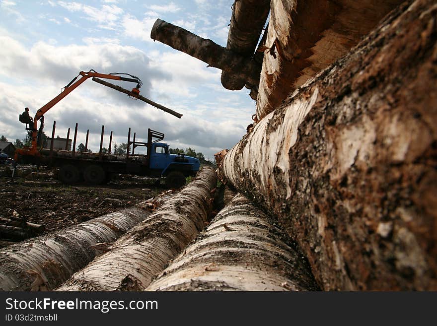 The auto-loader works in a warehouse of logs. The auto-loader works in a warehouse of logs