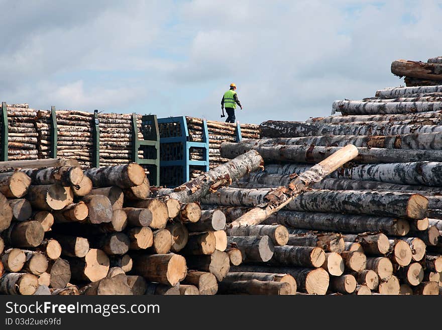 The man goes on the top of a cup in warehouse of logs. The man goes on the top of a cup in warehouse of logs